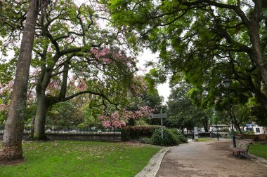 Baharın güneşli bir gününde Lizbon 'da Principe Real adında muhteşem bir yeşil uzay bahçesi.