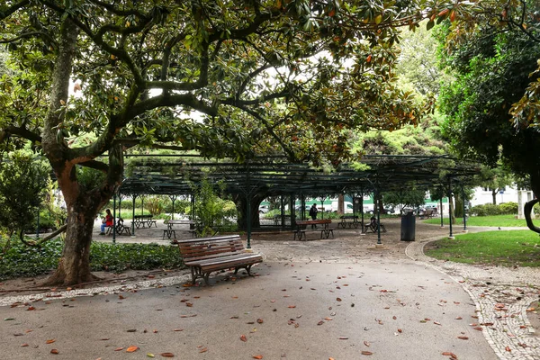 Splendide Jardin Espaces Verts Appelé Principe Real Lisbonne Par Une — Photo