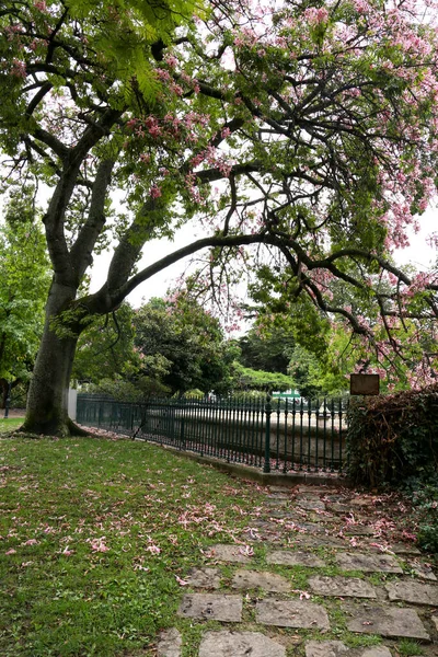 春天的一个阳光灿烂的日子 美丽的绿色空间花园在里斯本被命名为 真正的圣多美和普林西比 — 图库照片