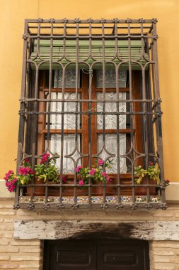 Toledo 'da dövülmüş metal ızgara ve saksı bitkileri olan bir pencere.