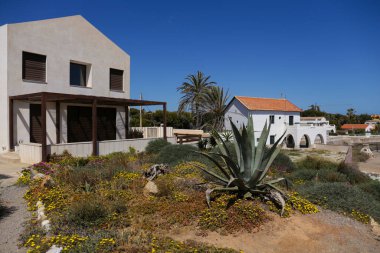 Cabo de Palos balıkçı köyündeki sahilde beyazlatılmış evler.