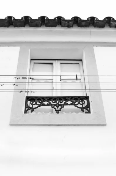 Типичное Португальское Окно Повешенной Одеждой Монохромная Картина — стоковое фото