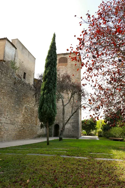 Schöne Antike Stadtmauer Von Evora Umgeben Von Wunderschönen Gärten Portugal — Stockfoto