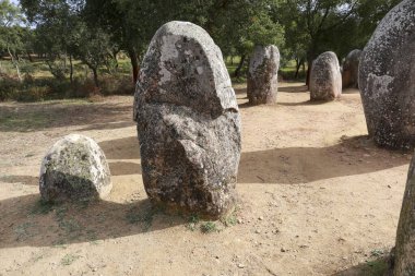 Evora 'da Almendres Cromlech adında inanılmaz bir Megalitik anıt.