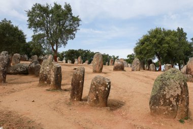 Evora 'da Almendres Cromlech adında inanılmaz bir Megalitik anıt.
