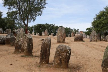 Evora 'da Almendres Cromlech adında inanılmaz bir Megalitik anıt.