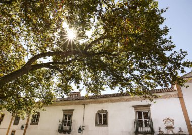 Portekiz 'in eski Evora kasabasında güzel bir ağacın yanındaki tipik Portekiz cephesi.