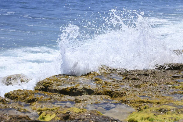 Wellen Krachen Bunte Felsen Mit Grünalgen Die Küste Spanien — Stockfoto