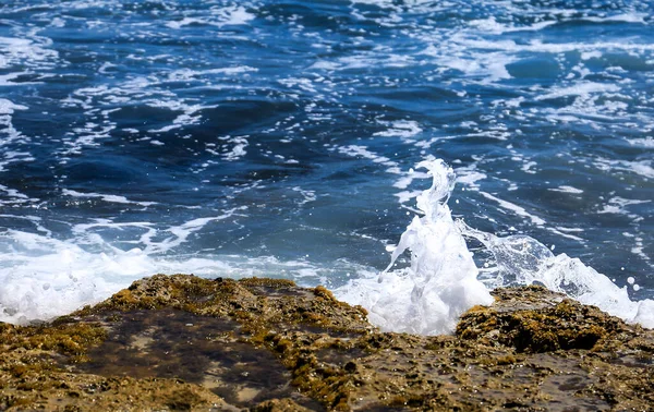 스페인의해 조류와 충돌하는 — 스톡 사진