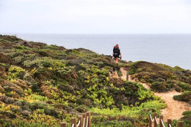 Portekiz 'deki Alentejo kıyılarının kayalıklardan, bitki örtüsünden ve çalılarından oluşan güzel bir manzara.