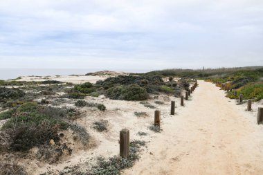 Portekiz 'de Cabo Sardao Burnu' nun Alentejo kıyısı boyunca uzanan yol