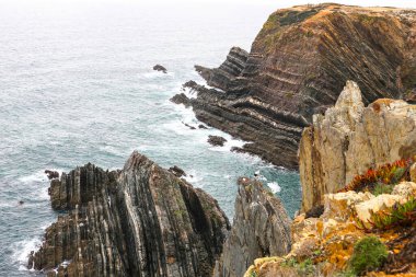 Sardao Burnu 'nun güzel uçurumlarında yuva yapma mevsiminde beyaz leylekler