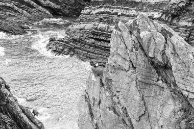 Sardao Burnu 'nun güzel uçurumlarında yuva yapma mevsiminde beyaz leylekler