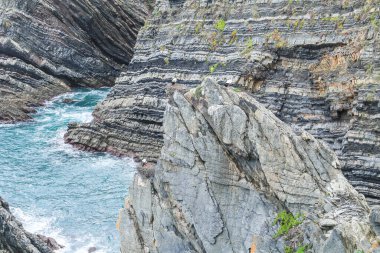 Sardao Burnu 'nun güzel uçurumlarında yuva yapma mevsiminde beyaz leylekler