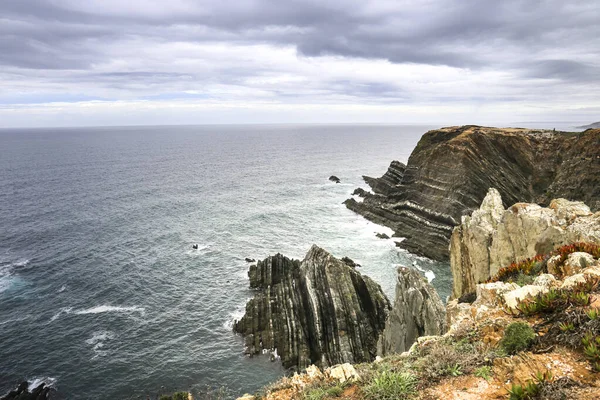 Belas Falésias Cabo Sardao Com Cegonhas Brancas Época Nidificação — Fotografia de Stock