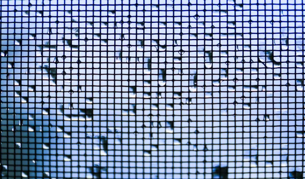 Raindrops Square Netting Fabric Window Storm — Stock Photo, Image