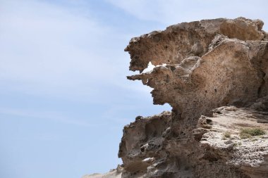 Cabo de Gata, Almerya 'daki Los Escullos Plajı' ndaki Kum tepelerini fosilleştirdi.