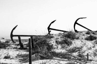 Tavira Adası, Algarve, Portekiz 'deki Çapa Mezarlığı.