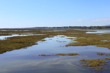 Portekiz, Tavira 'daki Barril Sahili' nin yanındaki bataklık ve sulak alanlar.