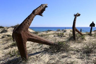 Tavira Adası, Algarve, Portekiz 'deki Çapa Mezarlığı.