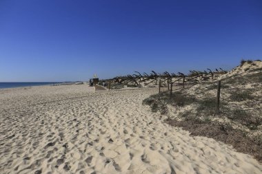 Tavira Adası, Algarve, Portekiz 'deki Çapa Mezarlığı.