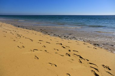 Tavira Adası 'ndaki Praia do Barril Sahili ve Çapa Mezarlığı