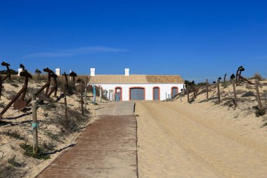 Tavira Adası, Algarve, Portekiz 'deki Çapa Mezarlığı.