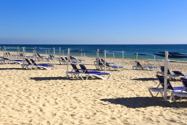Portekiz 'deki Tavira Adası sahilinde şemsiyeli yalnız plaj sandalyeleri.