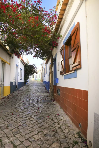Smala Cobblestone Gator Och Typiska Portugisiska Fasader Ferragudo Stad Portugal — Stockfoto