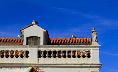 Portekiz, Portekiz 'deki güzel taş heykellerle çatıda duran martılar.