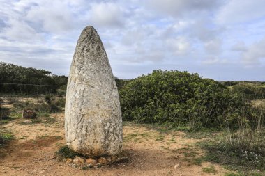 Güzel Menhir do Padrao Vila do Bispo, Portekiz 'de bitki örtüsüyle çevrili.