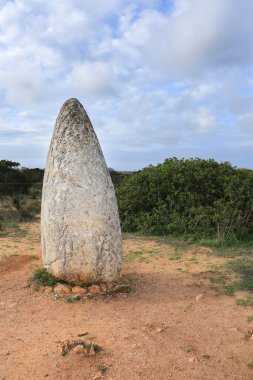 Güzel Menhir do Padrao Vila do Bispo, Portekiz 'de bitki örtüsüyle çevrili.