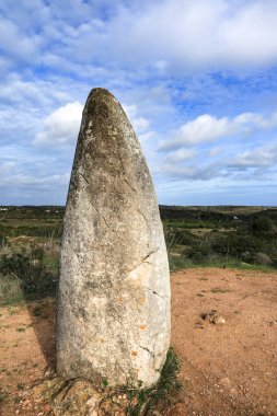 Güzel Menhir do Padrao Vila do Bispo, Portekiz 'de bitki örtüsüyle çevrili.