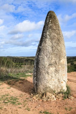 Güzel Menhir do Padrao Vila do Bispo, Portekiz 'de bitki örtüsüyle çevrili.