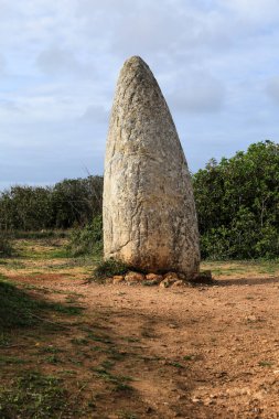 Güzel Menhir do Padrao Vila do Bispo, Portekiz 'de bitki örtüsüyle çevrili.
