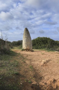Güzel Menhir do Padrao Vila do Bispo, Portekiz 'de bitki örtüsüyle çevrili.
