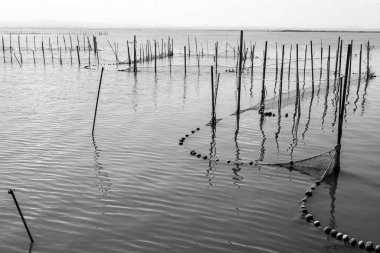 Valencia, İspanya 'daki Albufera Gölünde Çubuk ve Sopalı Tipik Balıkçılık Sistemi