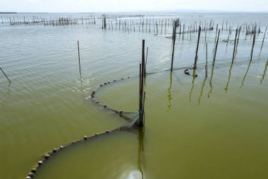 Valencia, İspanya 'daki Albufera Gölünde Çubuk ve Sopalı Tipik Balıkçılık Sistemi