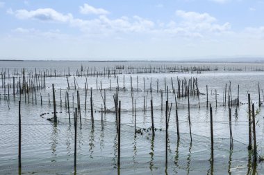 Valencia, İspanya 'daki Albufera Gölünde Çubuk ve Sopalı Tipik Balıkçılık Sistemi