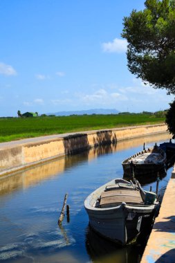 Valencia, İspanya 'daki La Albufera lagünündeki bir kanala demirlemiş geleneksel balıkçı tekneleri.