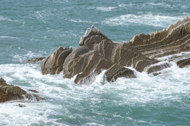 Bask ülkesindeki Unesco Global Geopark 'ın güzel ve renkli Flysch oluşumları