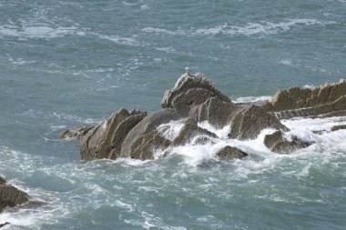 Bask ülkesindeki Unesco Global Geopark 'ın güzel ve renkli Flysch oluşumları