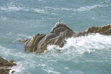 Bask ülkesindeki Unesco Global Geopark 'ın güzel ve renkli Flysch oluşumları