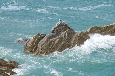 Bask ülkesindeki Unesco Global Geopark 'ın güzel ve renkli Flysch oluşumları