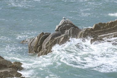 Bask ülkesindeki Unesco Global Geopark 'ın güzel ve renkli Flysch oluşumları