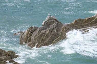 Bask ülkesindeki Unesco Global Geopark 'ın güzel ve renkli Flysch oluşumları