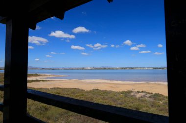 La Laguna Salada de la Mata y Torrevieja Doğal Parkı.