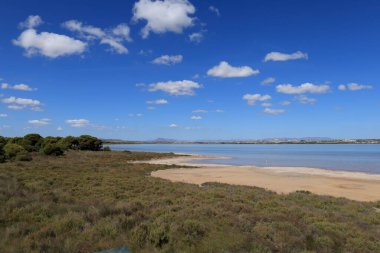 La Laguna Salada de la Mata y Torrevieja Doğal Parkı.
