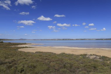 La Laguna Salada de la Mata y Torrevieja Doğal Parkı.