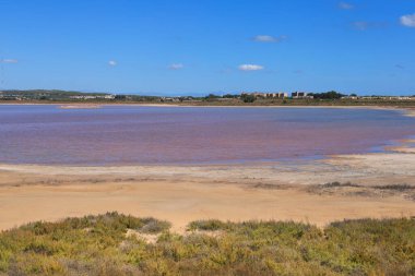La Laguna Salada de la Mata y Torrevieja Doğal Parkı.
